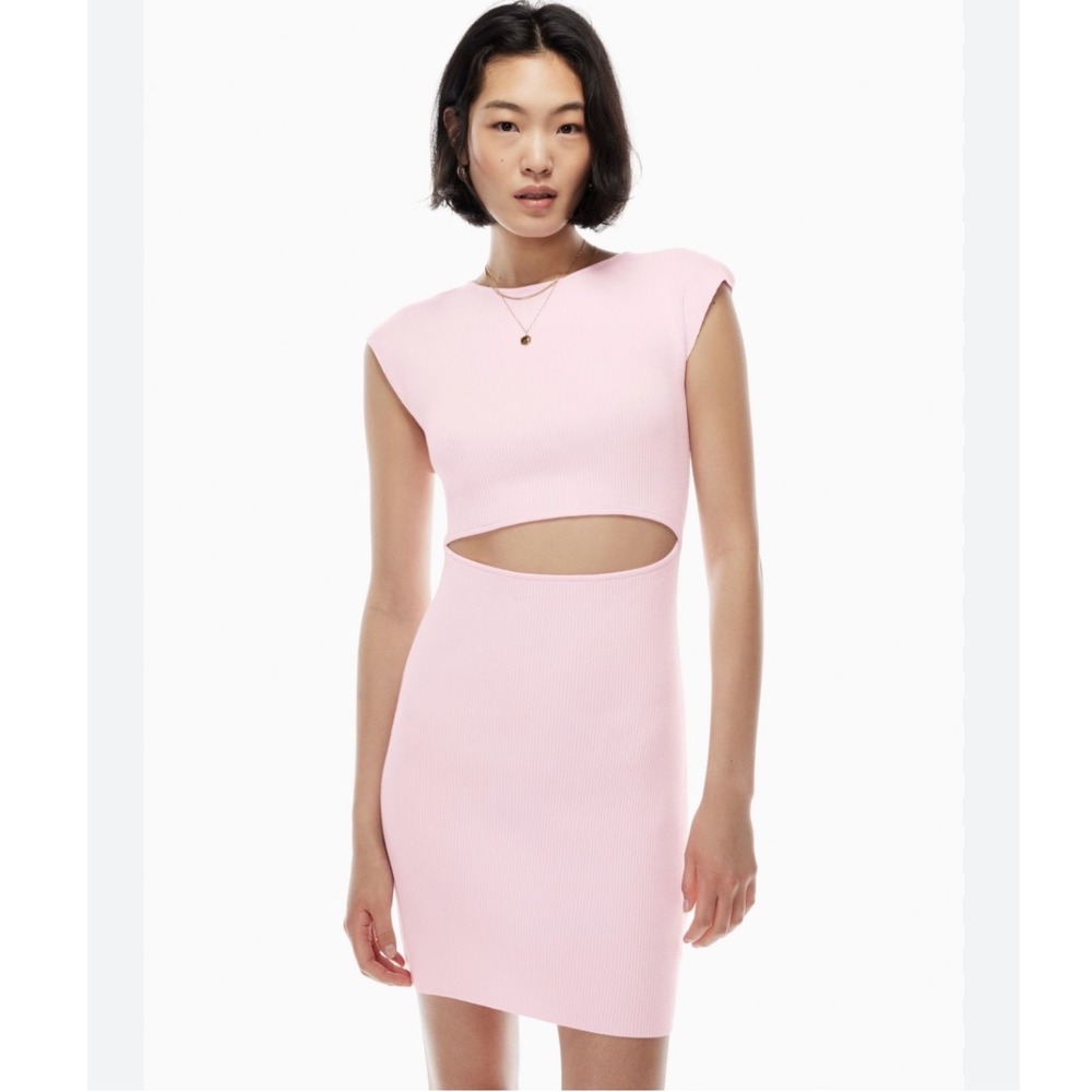 Wilfred Free Aritzia Pink Ribbed Cutout Midi Dress XS Bodycon Cap Sleeve 78203